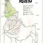 Idaho Tree Distribution | Free Printables | Pinterest | Idaho, Maps Regarding Printable Tree Map
