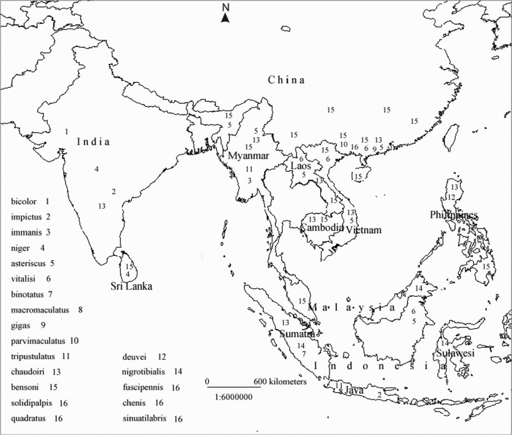 Printable Map Asia With Countries And Capitals Noavg Outline Of inside Printable Map Of Asia