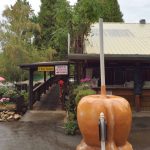 The Best Fall Treats And Activities In Apple Hill, California   A With Apple Hill Printable Map