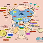 The Disney Food Blog 2018 Epcot Food And Wine Festival Map! | The Intended For Epcot Park Map Printable
